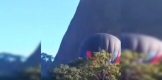 balao-com-7-pessoas-faz-pouso-forcado-em-area-de-mata-no-es.-video