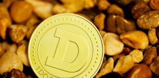 economista-lanca-robo-para-operar-memecoins-explosivas-automaticamente