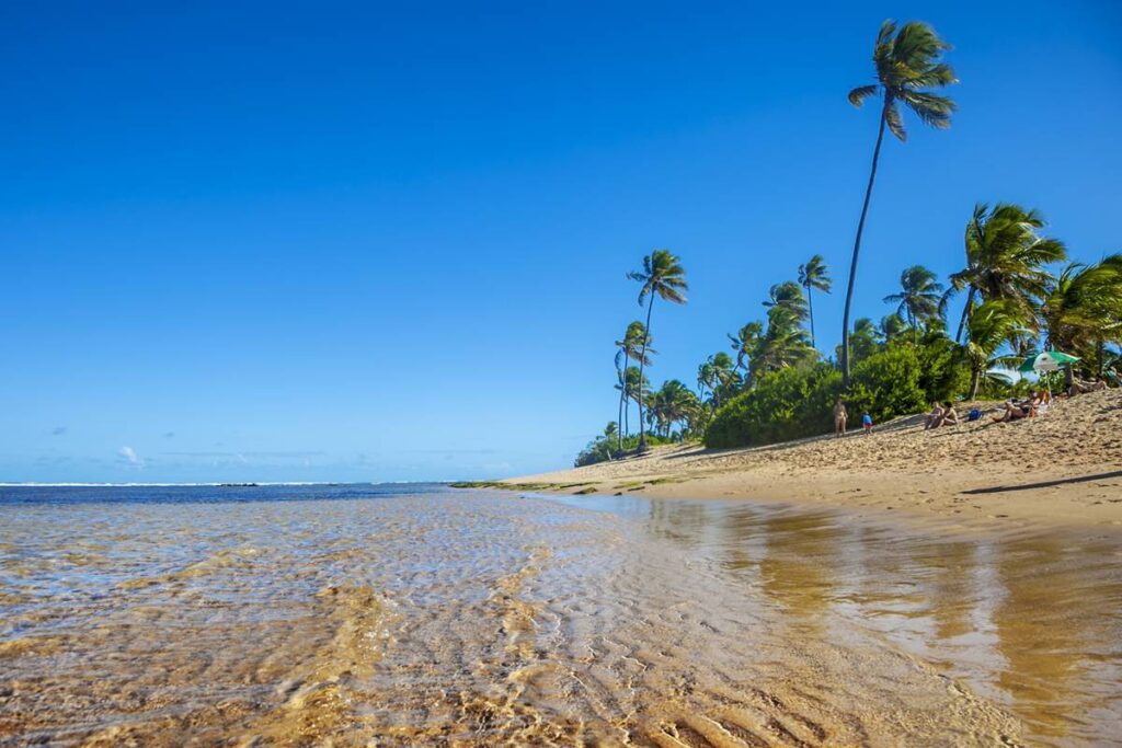 saiba-qual-paraiso-da-bahia-ocupa-o-topo-do-ranking-de-melhores-praias