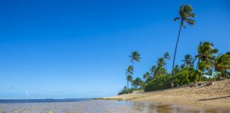 saiba-qual-paraiso-da-bahia-ocupa-o-topo-do-ranking-de-melhores-praias