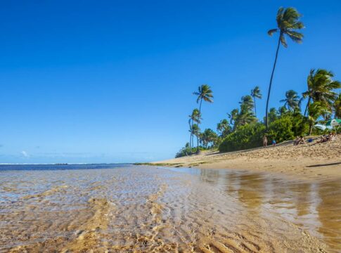 saiba-qual-paraiso-da-bahia-ocupa-o-topo-do-ranking-de-melhores-praias
