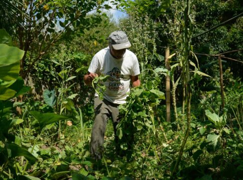 edital-seleciona-36-projetos-para-fortalecer-agricultura-familiar