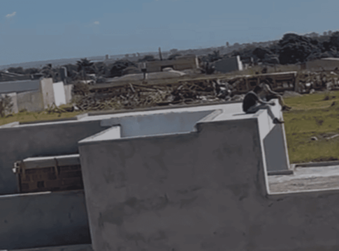video:-moradores-sobem-em-casas-para-evitar-demolicao-da-df-legal