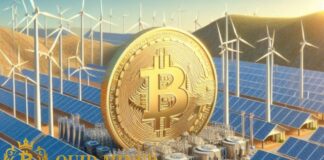 quid-miner:-mineracao-gratuita-e-chance-de-chegar-a-us$-3.500-por-dia