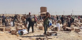 em-um-mes,-numero-de-mortos-buscando-alimentos-em-gaza-chega-a-516