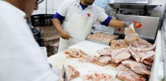 gripe-aviaria:-17-paises-suspendem-restricao-a-carne-brasileira 