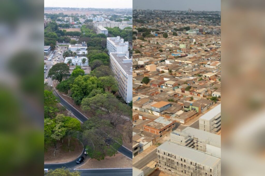 projeto-que-preve-numero-igual-de-arvores-em-todo-o-df-e-aprovado