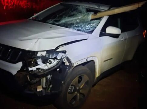 em-acidente,-placa-atravessa-para-brisa-e-quase-atinge-motorista