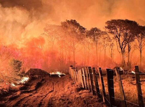 acoes-da-operacao-incendios-2025-da-pf-iniciam-pelo-pantanal