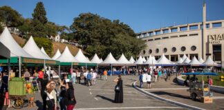 rio-publica-editais-literarios-com-investimento-de-r$-10-milhoes