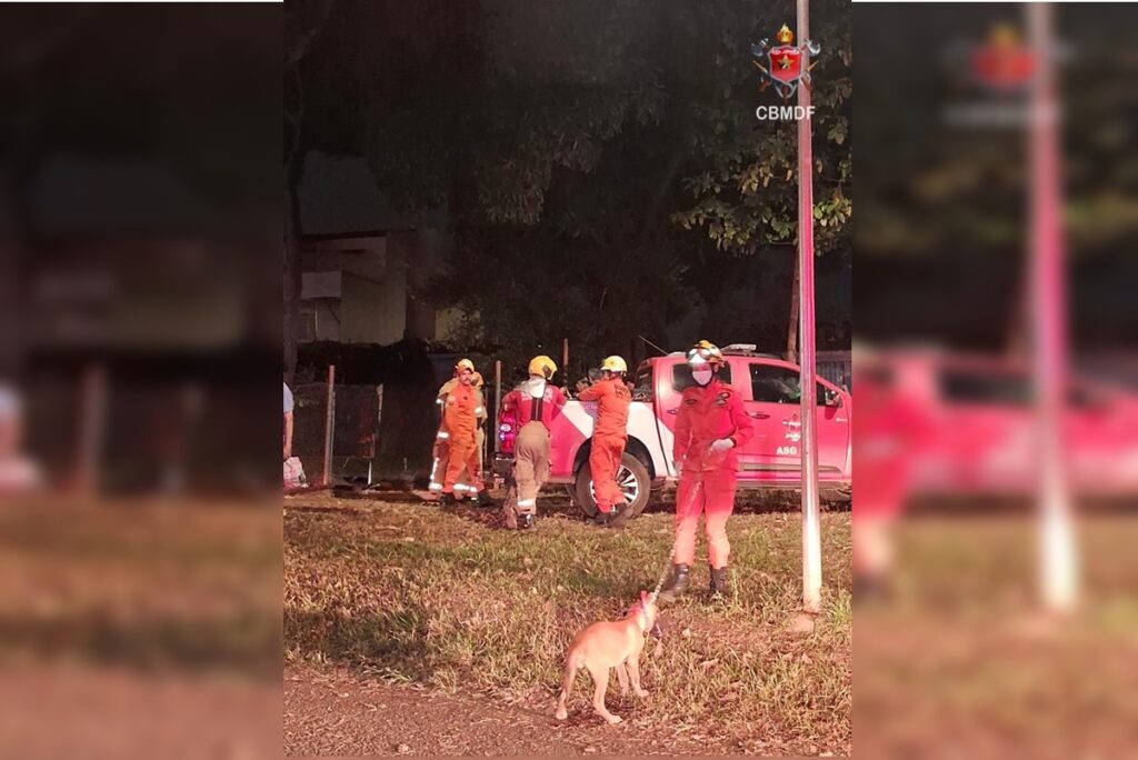 bombeiros-resgatam-dois-caes-e-um-gato-de-casa-incendiada-no-guara