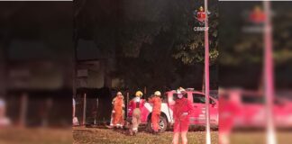 bombeiros-resgatam-dois-caes-e-um-gato-de-casa-incendiada-no-guara