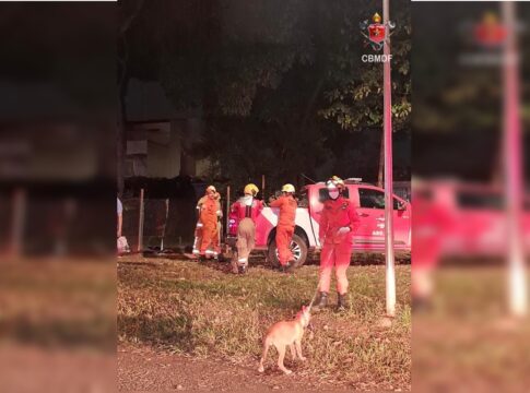 bombeiros-resgatam-dois-caes-e-um-gato-de-casa-incendiada-no-guara