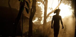 ong-paga-pelo-governo-cotou-alimento-para-indigenas-em-autopecas