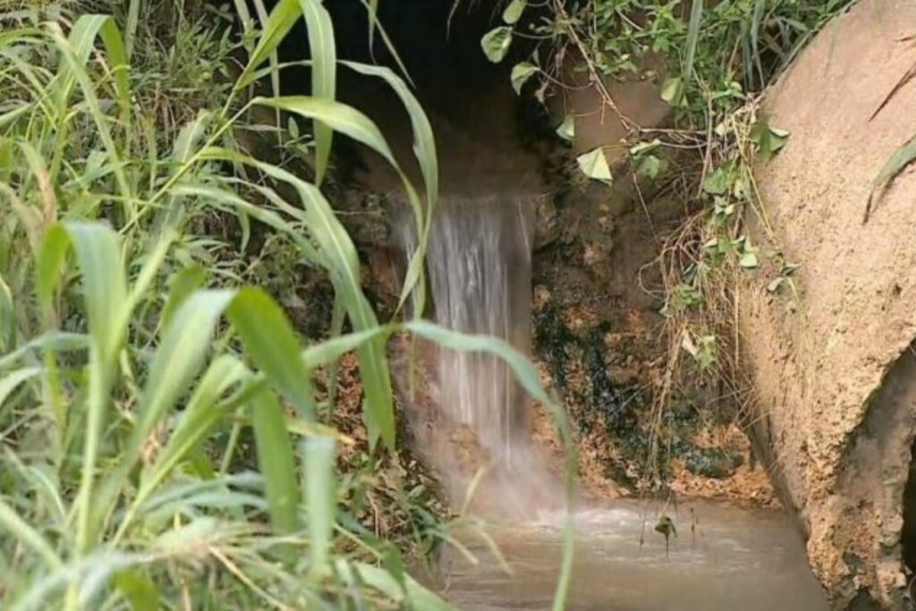 quase-1/3-da-populacao-de-sp-nao-tem-esgoto-tratado,-mostra-estudo
