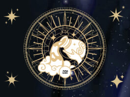 aquario:-confira-o-horoscopo-de-hoje-(26/6)-para-seu-signo