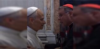 video:-arcebispo-de-brasilia-se-encontra-com-papa-leao-xiv-no-vaticano