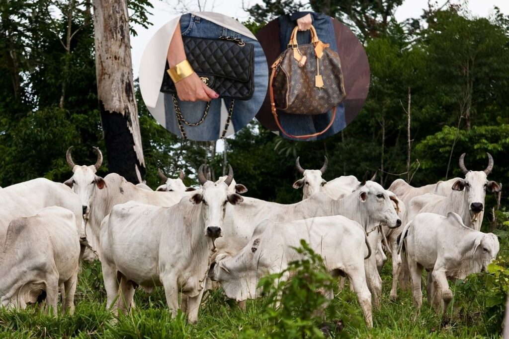 ong-acusa-chanel-e-louis-vuitton-de-usarem-couro-ilegal-da-amazonia
