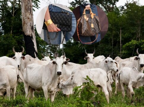 ong-acusa-chanel-e-louis-vuitton-de-usarem-couro-ilegal-da-amazonia