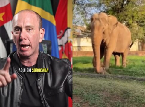 “lacracao”,-diz-prefeito-tiktoker-sobre-campanha-pro-elefante-sandro