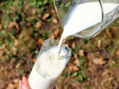 entenda-por-que-beber-apenas-leite-desnatado-pode-ser-um-erro