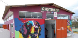 castra-df-inaugura-abrigo-publico-temporario-para-animais-de-rua