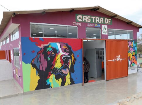 castra-df-inaugura-abrigo-publico-temporario-para-animais-de-rua