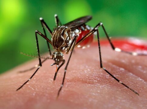 jundiai-confirma-primeiro-caso-de-chikungunya-neste-ano