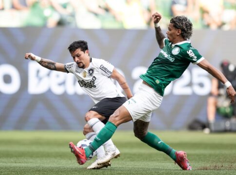 botafogo-tem-otimo-retrospecto-recente-contra-o-palmeiras.-confira