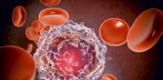 5-mitos-e-verdades-sobre-a-leucemia