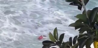 bombeiro-desafia-mar-revolto-para-salvar-mulher-em-afogamento.-video