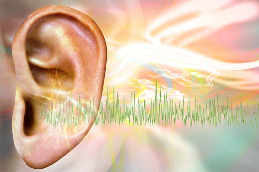 cerebro-estatistico:-como-prevemos-padroes-em-sequencias sonoras?