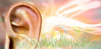 cerebro-estatistico:-como-prevemos-padroes-em-sequencias sonoras?