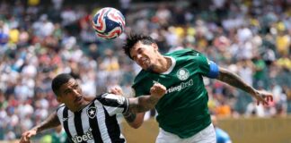 web-reage-ao-primeiro-tempo-entre-palmeiras-x-botafogo:-“fraco”