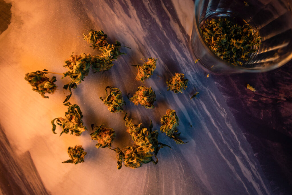 julgamento-que-descriminalizou-porte-de-maconha-completa-um-ano