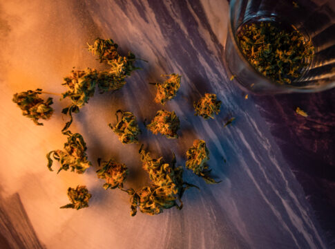 julgamento-que-descriminalizou-porte-de-maconha-completa-um-ano