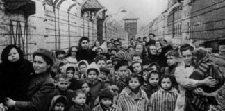 a-descivilizacao-(por-gustavo-krause)