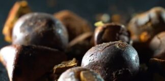 pedra-de-fel-de-boi-avaliada-em-r$-1-milhao-e-furtada-de-frigorifico