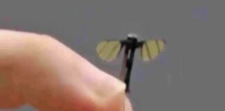 china-apresenta-drone-militar-do-tamanho-de-uma-mosca.-saiba-como-e