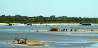 taxa:-governo-lula-cobra-r$-500-para-acampar-no-rio-araguaia.-entenda