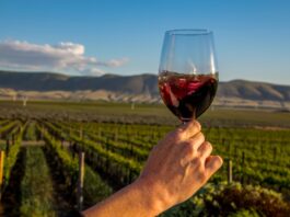 tomar-vinho-todos-os-dias-e-seguro?-saiba-o-que-acontece-com-seu-corpo