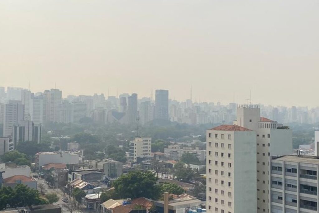 o-que-impede-o-brasil-de-promover-menos-impacto-ao-meio-ambiente?