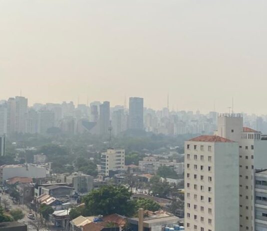 o-que-impede-o-brasil-de-promover-menos-impacto-ao-meio-ambiente?
