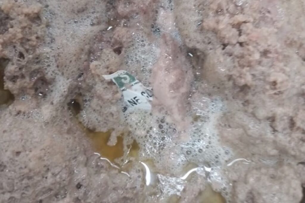 apos-flagrante-de-plastico-em-carne,-tcdf-investiga-merenda-escolar