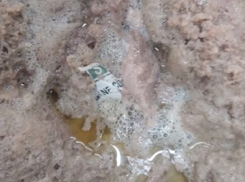 apos-flagrante-de-plastico-em-carne,-tcdf-investiga-merenda-escolar