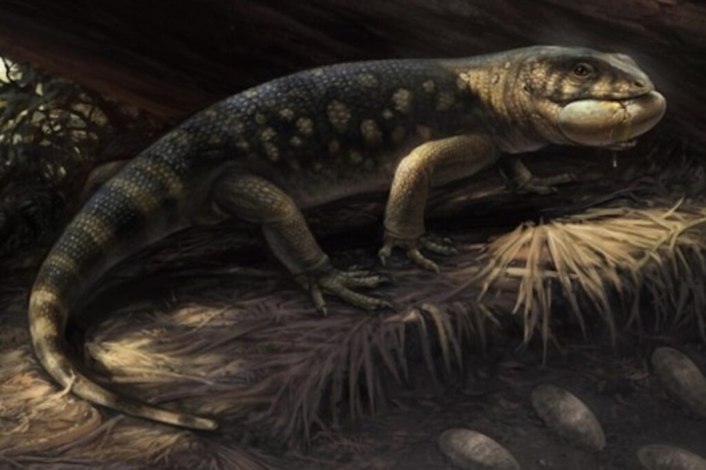 lagarto-pre-historico-gigante-ganha-nome-de-personagem-de-o-hobbit