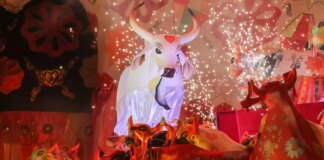 boi-garantido-vence-festival-de-parintins-e-garante-o-33o-titulo