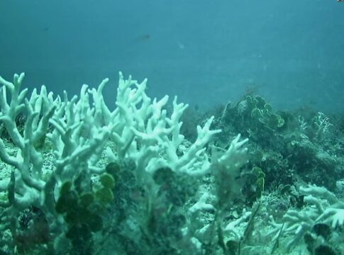 edital-do-bndes-destina-r$-43-milhoes-para-protecao-de-ilhas-oceanicas