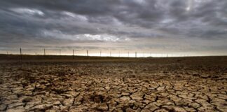 africa-do-sul-esta-emergindo-do-oceano-por-falta-de-agua.-entenda