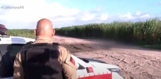 corpo-de-jovem-e-encontrado-com-maos-amarradas-e-marcas-de-tiros